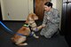 Riley, 20th Fighter Wing (FW) Sexual Assault Prevention and Response comfort dog in training, “shakes hands” with Master Sgt. Amanda Cranmore, 20th FW Law Office superintendent, at Shaw Air Force Base, S.C., Jan. 9, 2018.