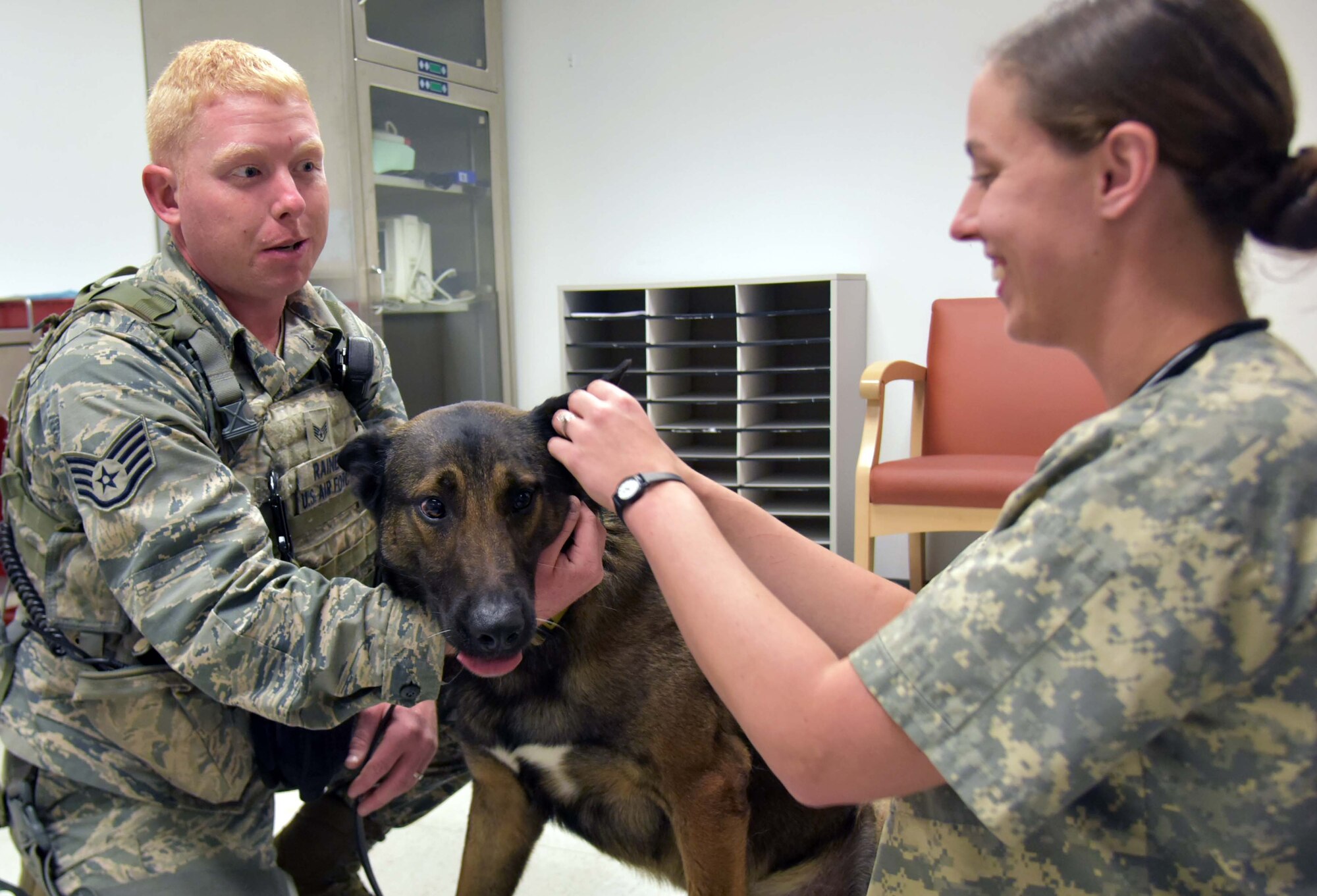 Veterinary Facility cares for MWDs, family pets