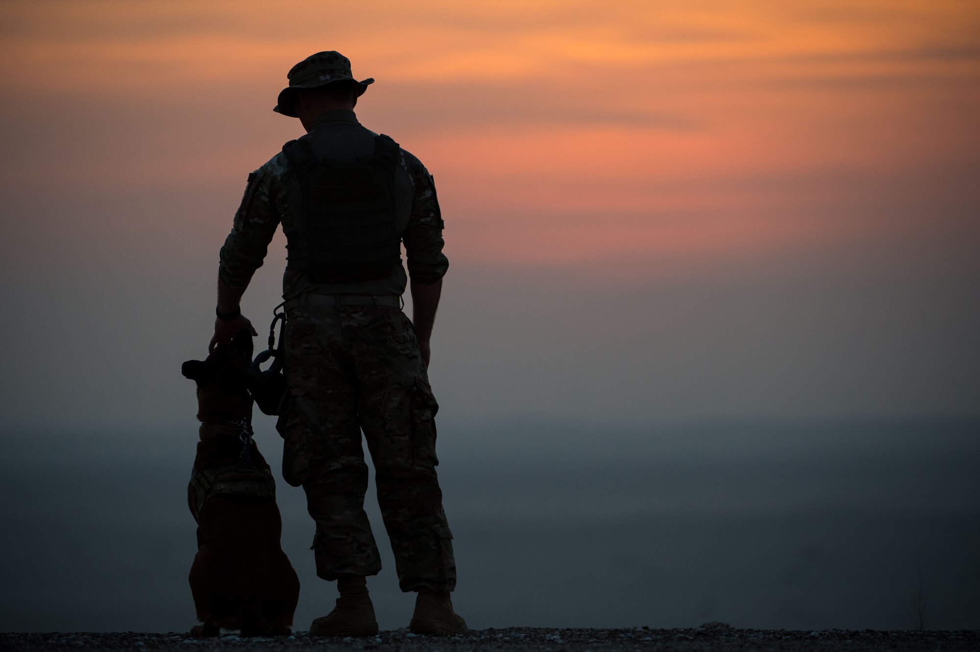 A 380th Expeditionary Security Forces Squadron military working dog team awaits the start of a detection training scenario at an undisclosed location in Southwest Asia, Jan. 10, 2017. Military working dogs complete weekly training scenarios to maintain the standards needed to protect military installations. “There’s always that chance that the only thing between you and an explosive is your dog and 26 feet of leash,” Staff Sgt. Dakoda, 380th ESFS military working dog handler, said.  “We rely on our dogs and have faith that they are going to do their job.” (U.S. Air Force photo by Senior Airman Tyler Woodward)
