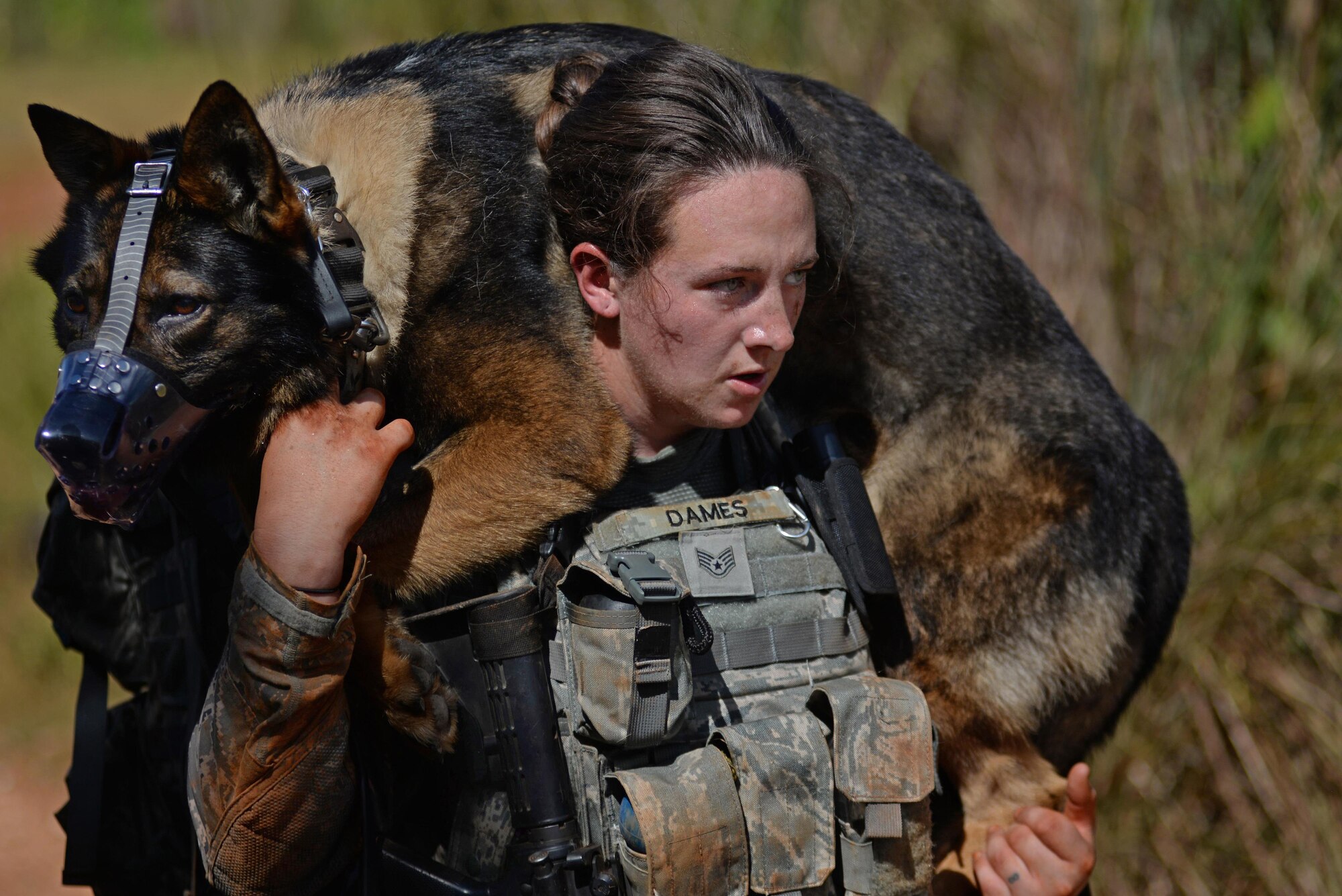 U.S. Air Force Staff Sgt. Victoria Dames, a 35th Security Forces Squadron military working dog handler, carries MWD Elvis during the second annual Security Forces Advanced Combat Skills Assessment at Andersen Air Force Base, Guam, June 6, 2017. The Defenders Challenge provided Airmen with invaluable interaction with other security forces members by exchanging tactics and skills between those in attendance. (U.S. Air Force photo by Airman 1st Class Gerald R. Willis)