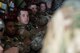 Georgia Air Guard supports airdrop training at Pope