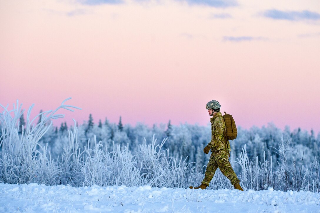 A soldier in snow past snow-covered vegetation against a pink sky.