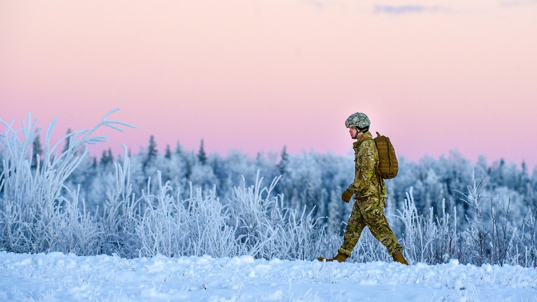 A soldier in snow past snow-covered vegetation against a pink sky.