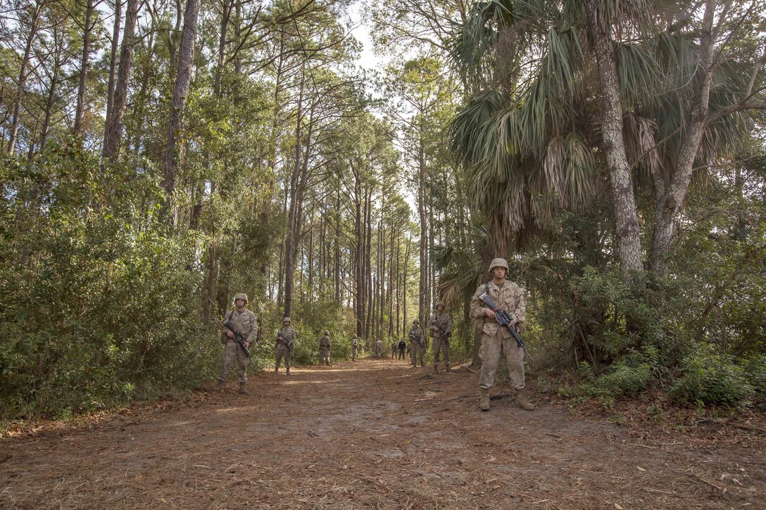 Marines stand in a wooded area.