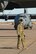317th Airlift Wing deploys to USAFE and USAFRICOM