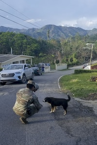 Puerto Rico Hurricane Assistance