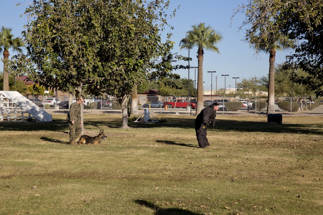 Guests participating in the Marine Corps Air Station (MCAS) Yuma Winter Tours observe the capabilities of the station, a demonstration of the K-9 unit, and an obstacle course demonstration at various locations on MCAS Yuma, Ariz., Dec. 12, 2017. The Winter Tours have not been conducted for the past two years, but have been resumed by Col. David A. Suggs, the station commanding officer, to build a better relationship with the community. (U.S. Marine Corps photo taken by Cpl. Ernest Grant)