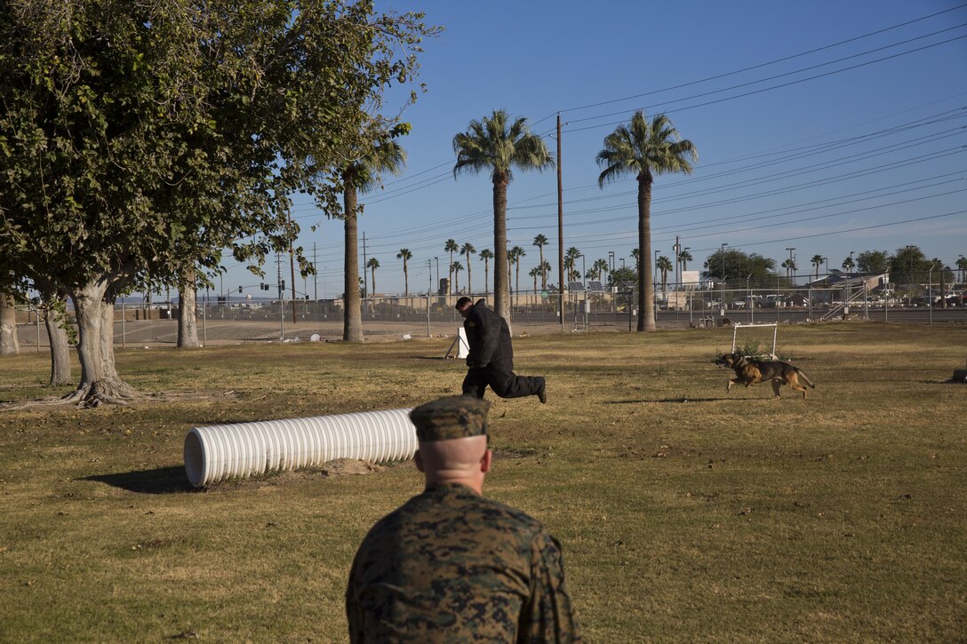 Guests participating in the Marine Corps Air Station (MCAS) Yuma Winter Tours observe the capabilities of the station, a demonstration of the K-9 unit, and an obstacle course demonstration at various locations on MCAS Yuma, Ariz., Dec. 12, 2017. The Winter Tours have not been conducted for the past two years, but have been resumed by Col. David A. Suggs, the station commanding officer, to build a better relationship with the community. (U.S. Marine Corps photo taken by Cpl. Ernest Grant)