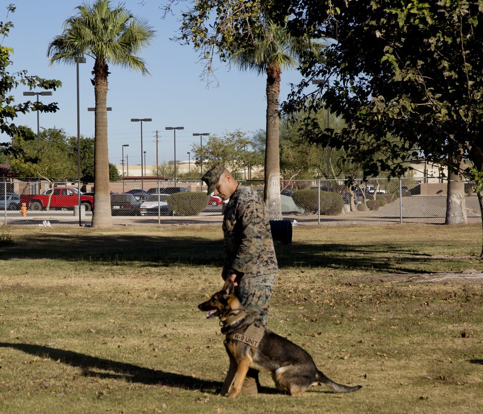 Guests participating in the Marine Corps Air Station (MCAS) Yuma Winter Tours observe the capabilities of the station, a demonstration of the K-9 unit, and an obstacle course demonstration at various locations on MCAS Yuma, Ariz., Dec. 12, 2017. The Winter Tours have not been conducted for the past two years, but have been resumed by Col. David A. Suggs, the station commanding officer, to build a better relationship with the community. (U.S. Marine Corps photo taken by Cpl. Ernest Grant)