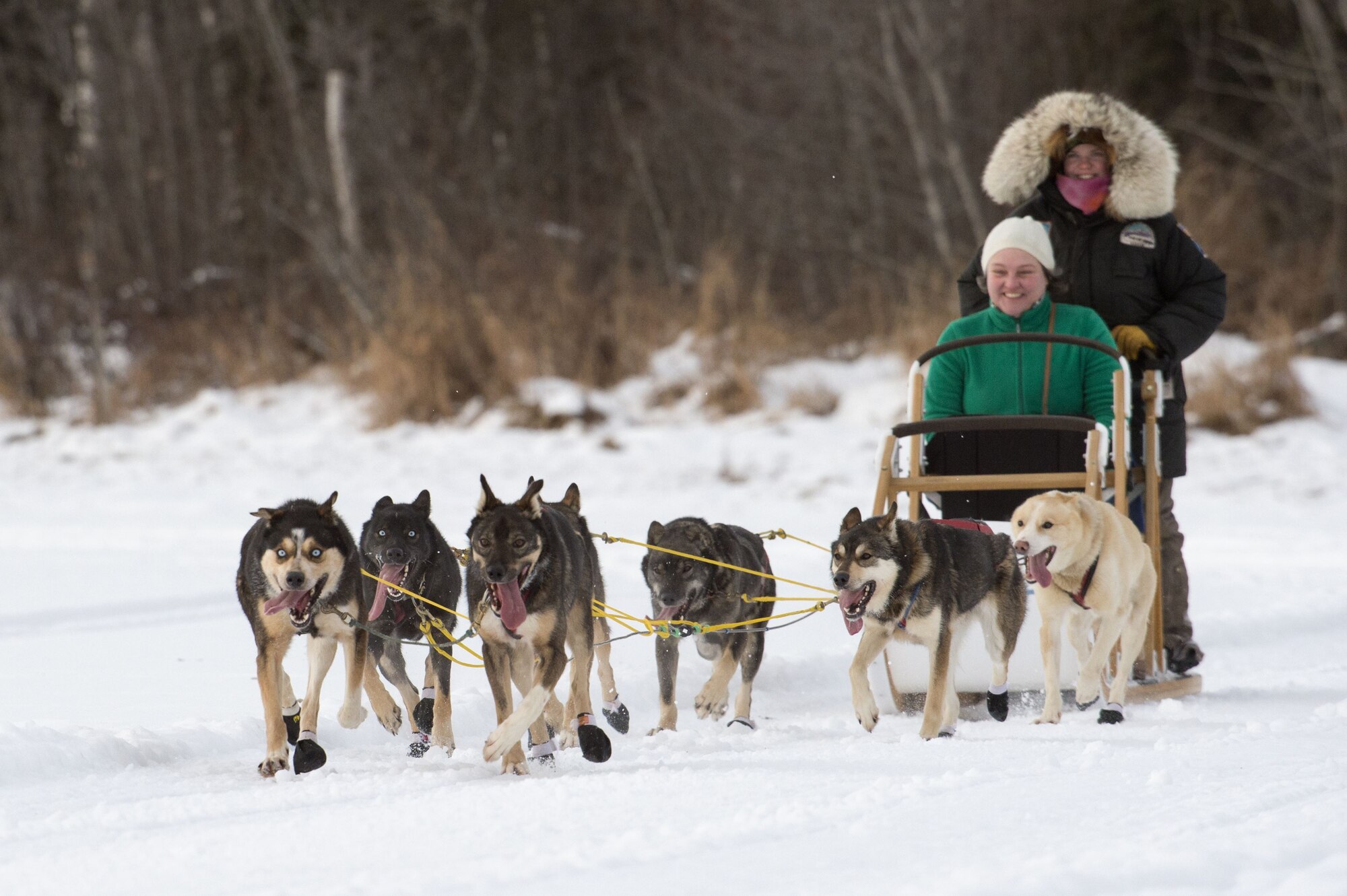 Sled rides at Hillberg Ski Area