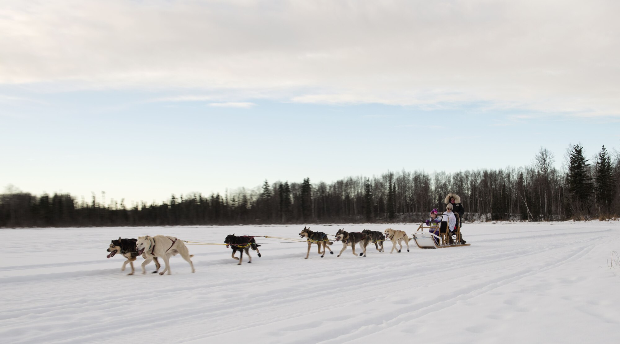 Sled rides at Hillberg Ski Area
