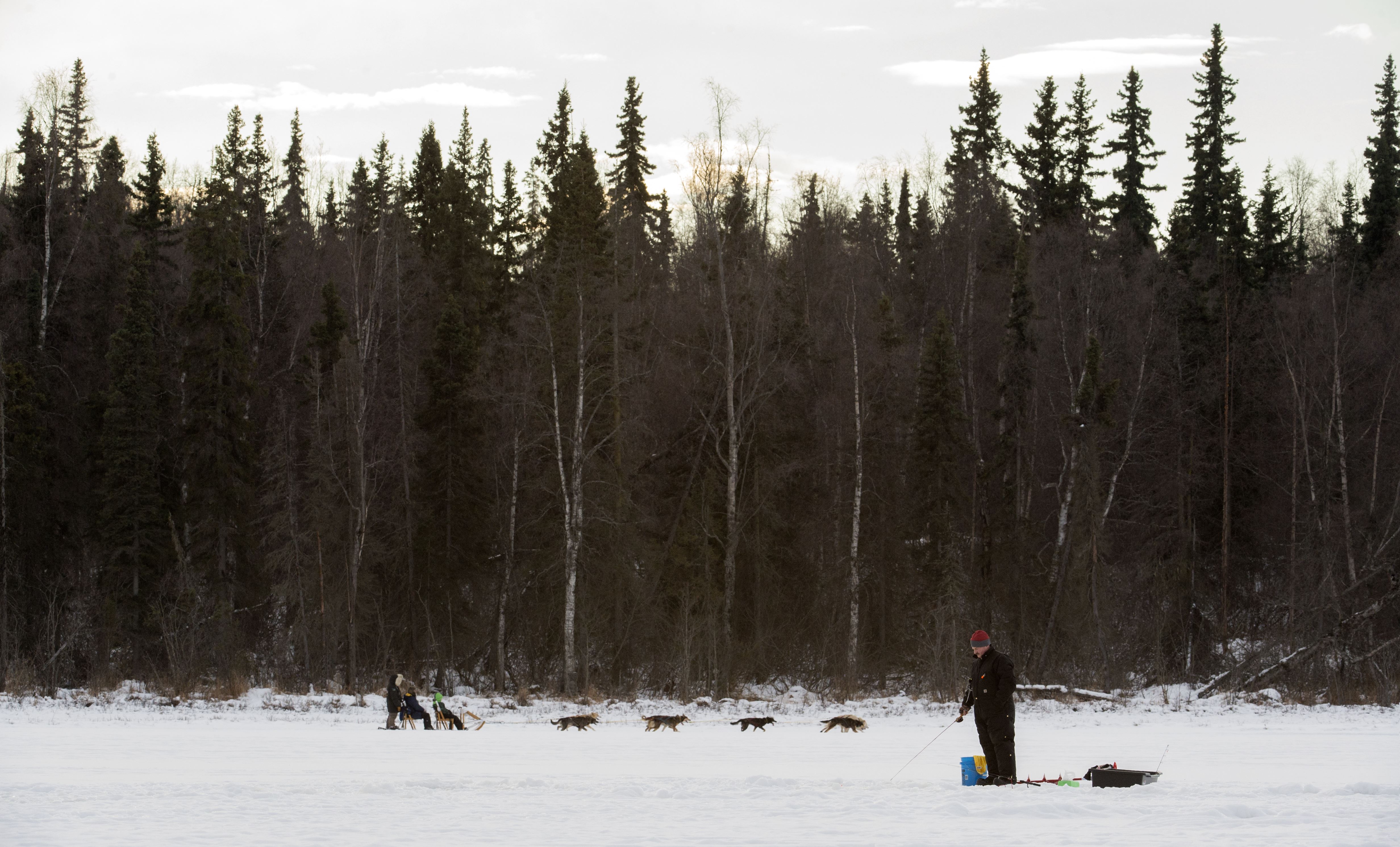 673d FSS and JBER Life offer dog sled rides to Hillberg Ski Area visitors