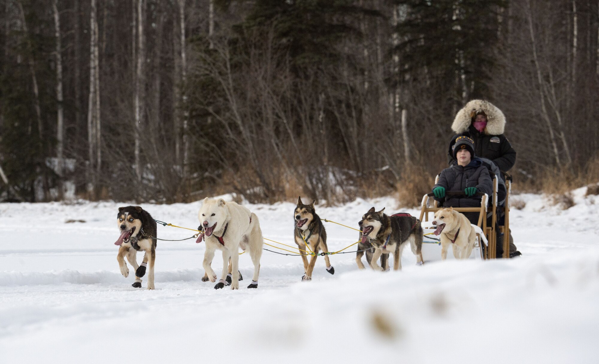 Sled rides at Hillberg Ski Area