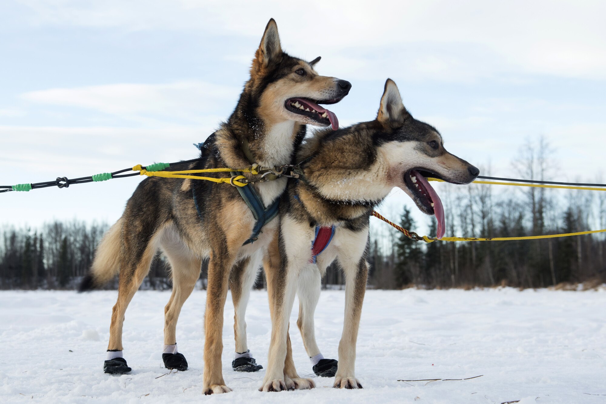 Sled rides at Hillberg Ski Area