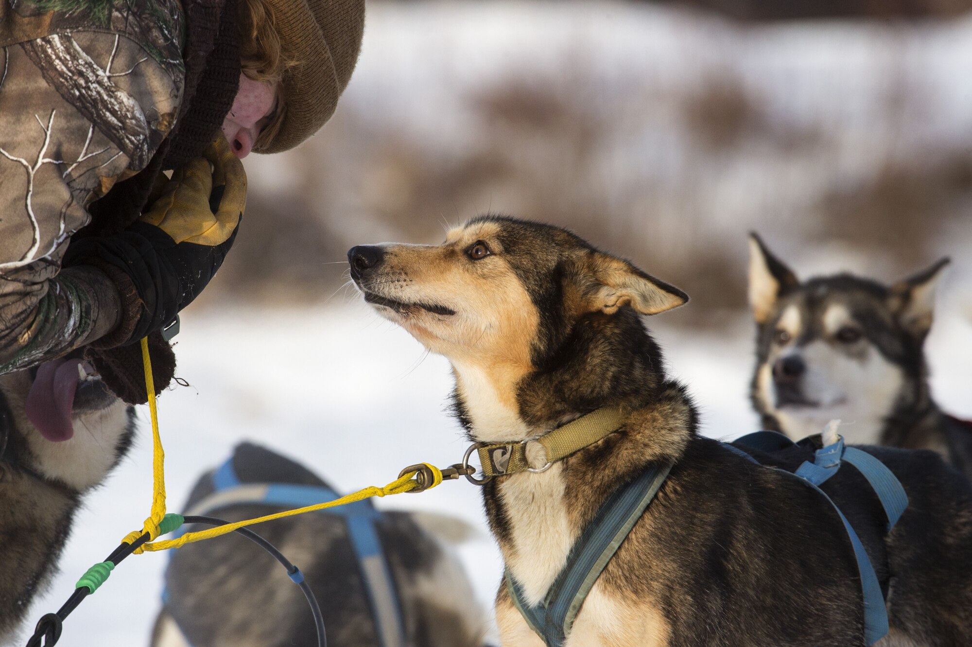 Sled rides at Hillberg Ski Area