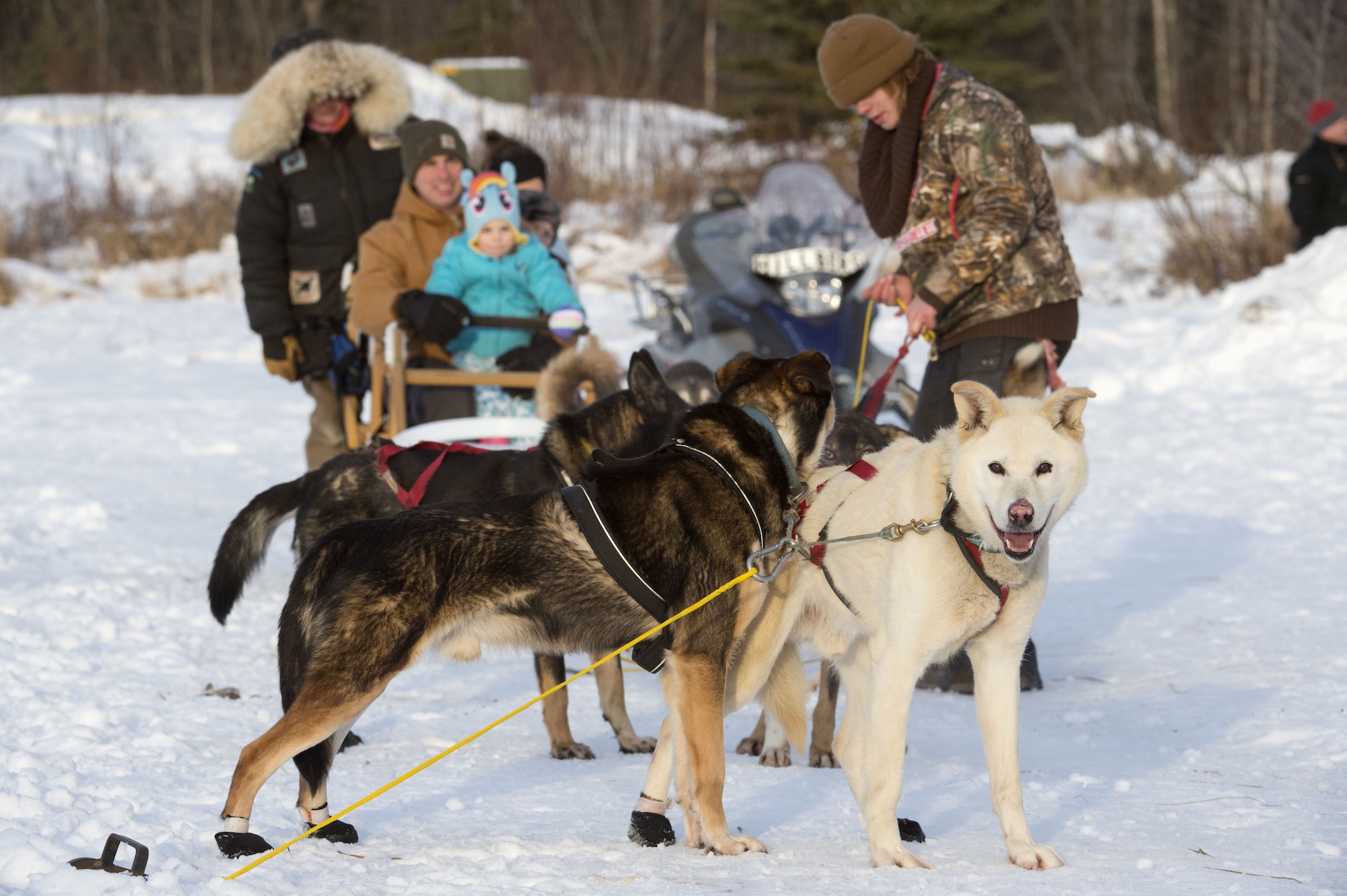 Sled rides at Hillberg Ski Area
