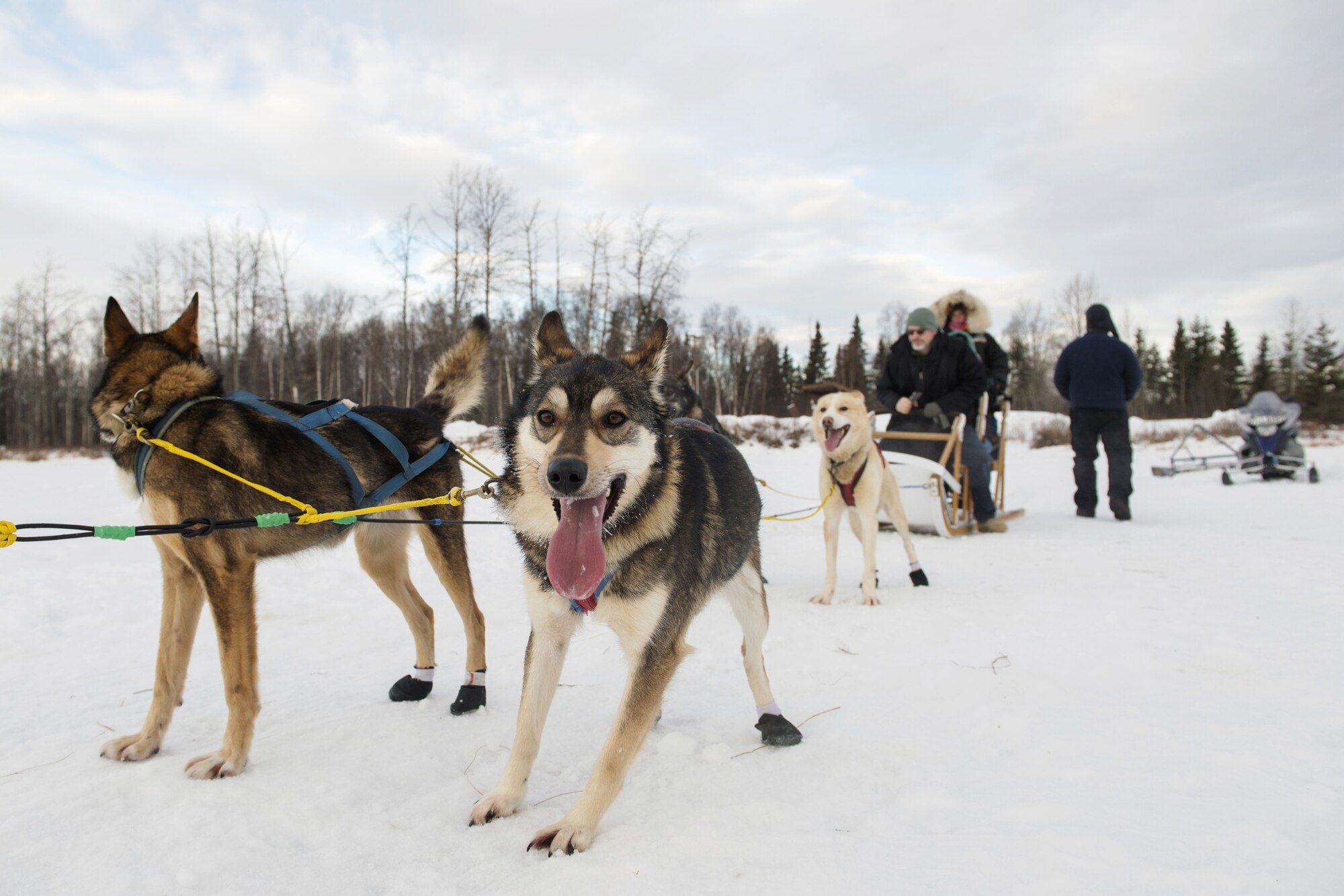 Sled rides at Hillberg Ski Area