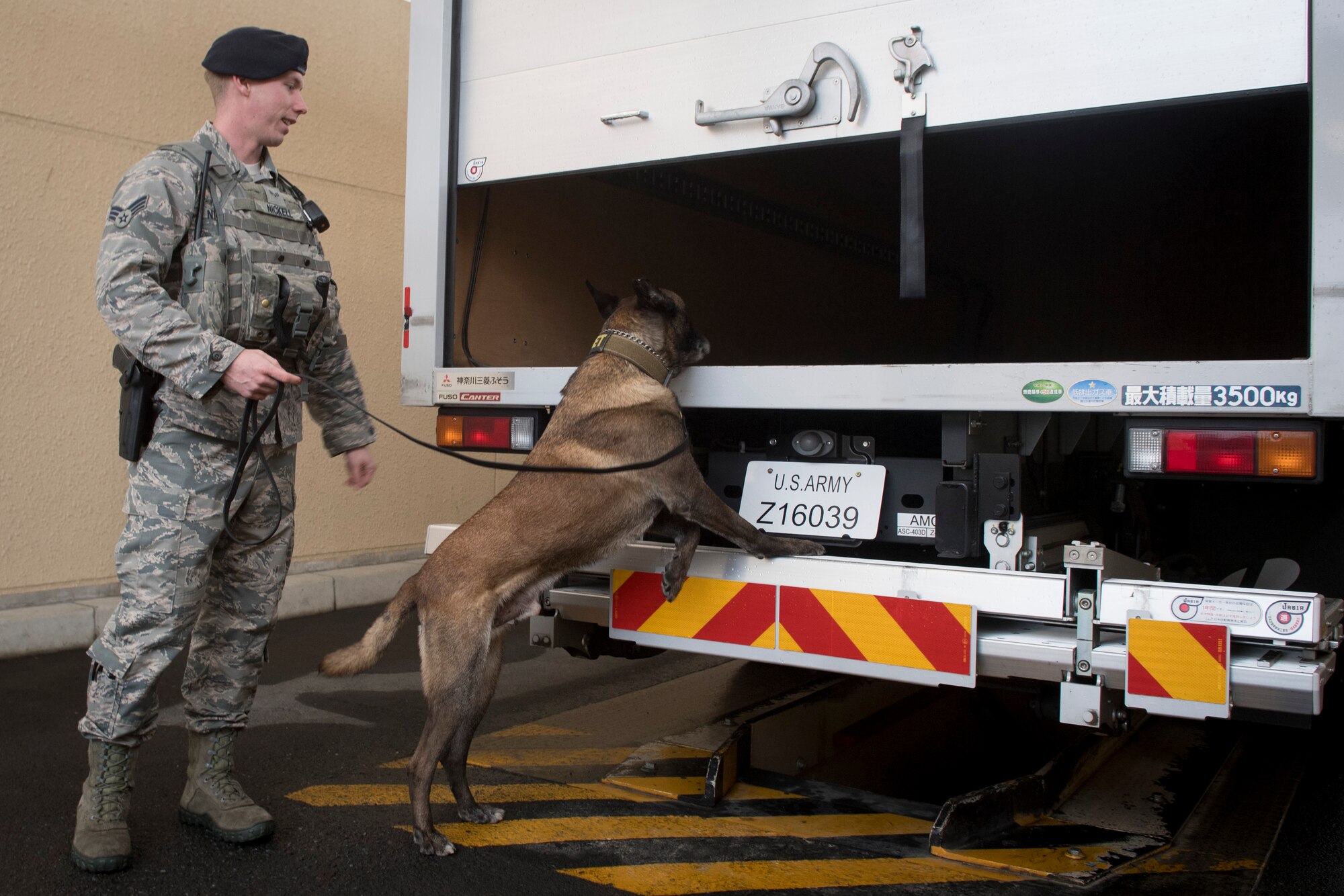 Senior Airman Cody Nickell, 374th Security Forces Squadron military working dog handler, and Topa, 374 SFS MWD, search a vehicle for explosives and other prohibited substances, Jan. 18, 2018, at Yokota Air Base, Japan.