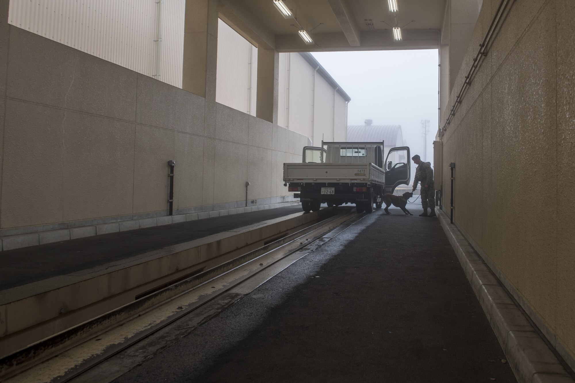 Senior Airman Cody Nickell, 374th Security Forces Squadron military working dog handler, plays with Topa, 374 SFS MWD, as a reward after searching a vehicle for explosives and other prohibited substances, Jan. 18, 2018, at Yokota Air Base, Japan.