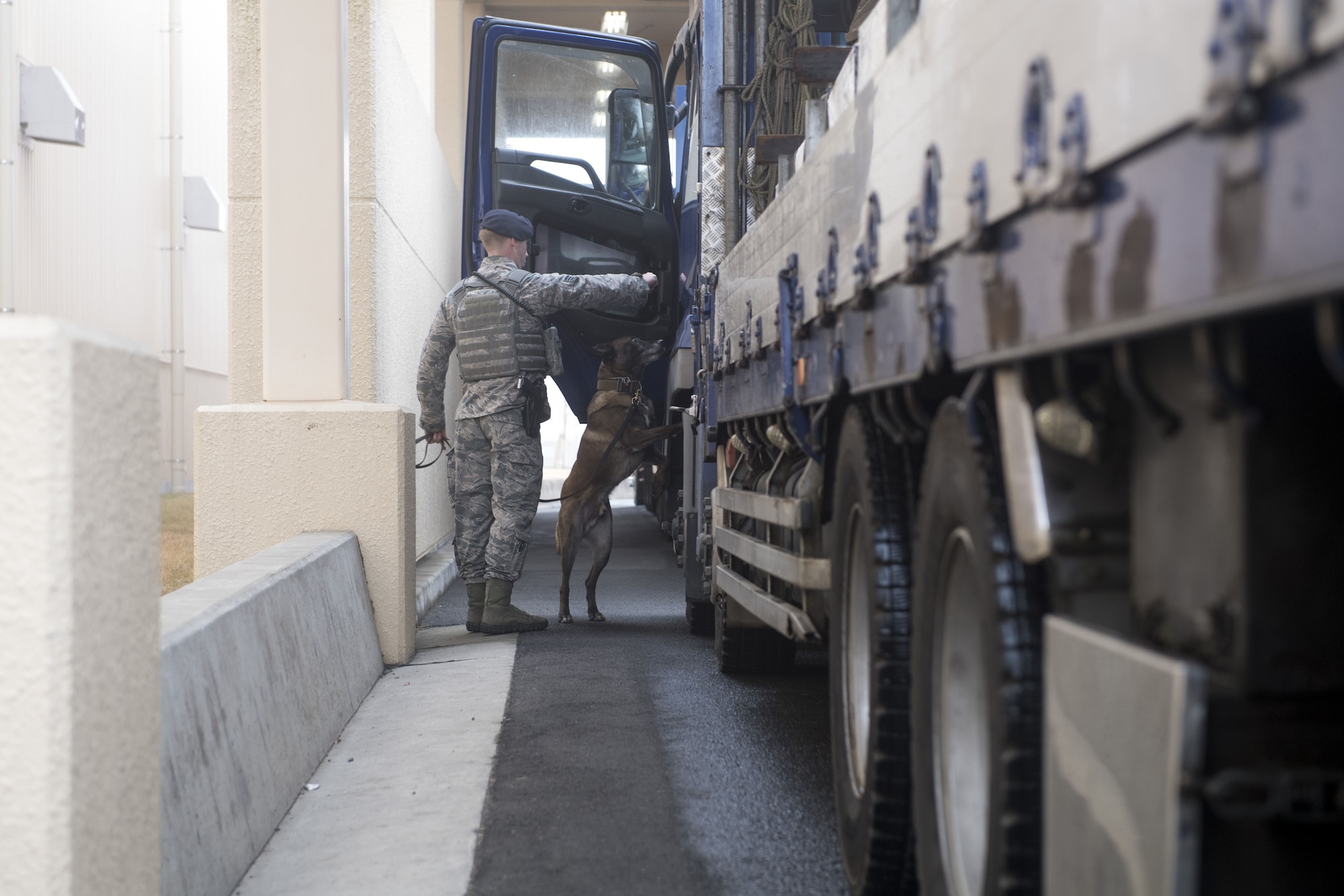 Senior Airman Cody Nickell, 374th Security Forces Squadron military working dog handler, and Topa, 374 SFS MWD, search a vehicle for explosives and other prohibited substances, Jan. 18, 2018, at Yokota Air Base, Japan.