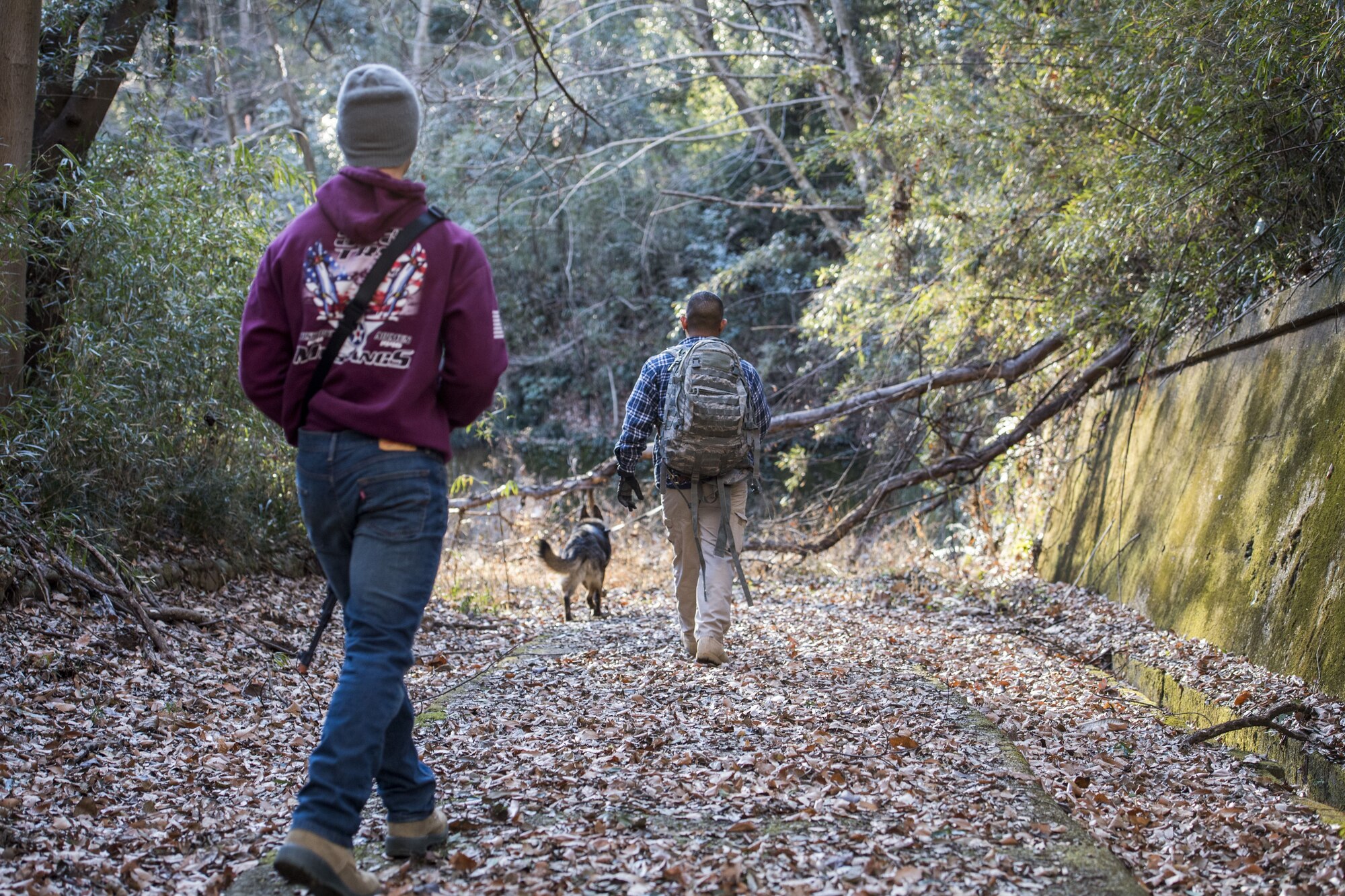 Airmen with the 374th Security Forces Squadron search for fellow Airmen hiding in the forest during regular military working dog human detection training, Jan. 11, 2018, at Tama Hills Recreation Area, Japan.