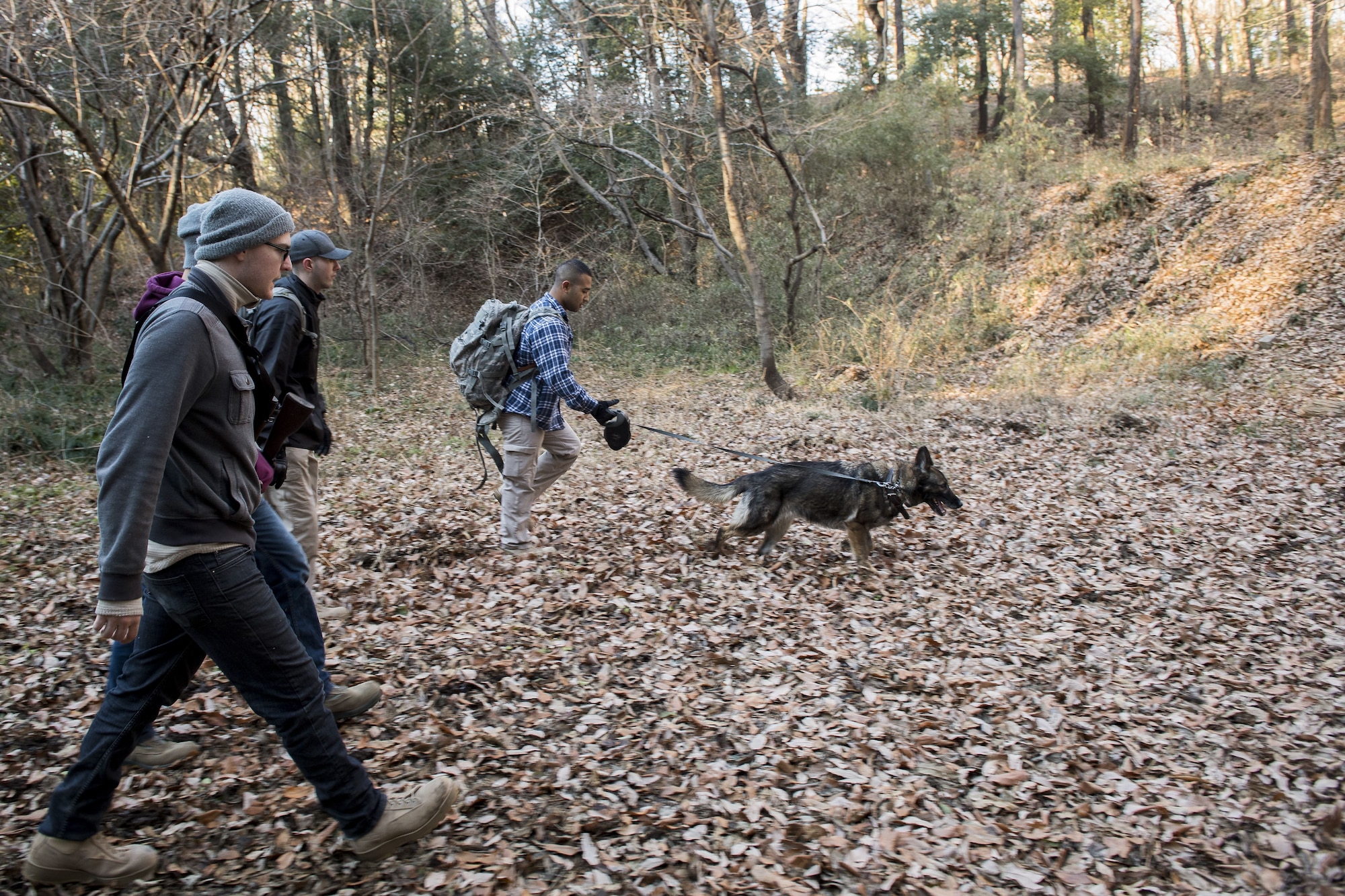 Senior Airman Mario Hernandez, 374th Security Forces Squadron military working dog handler, and Demo, 374 SFS MWD, lead a team of fellow Airmen during regular MWD human detection training, Jan. 11, 2018, at Tama Hills Recreation Area, Japan.
