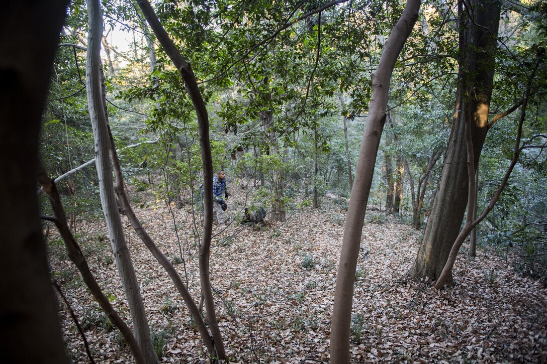 Senior Airman Mario Hernandez, 374th Security Forces Squadron military working dog handler, and Demo, 374 SFS MWD, search for fellow Airmen hiding in the forest during regular MWD human detection training, Jan. 11, 2018, at Tama Hills Recreation Area, Japan.