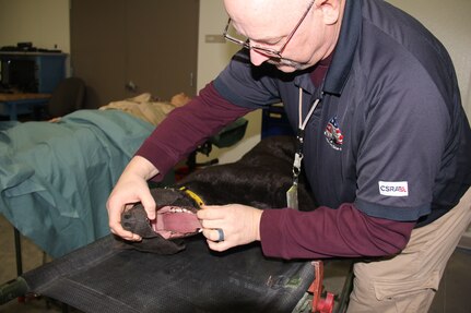 Fort McCoy's RTS-Medical covers all aspects of CSH training