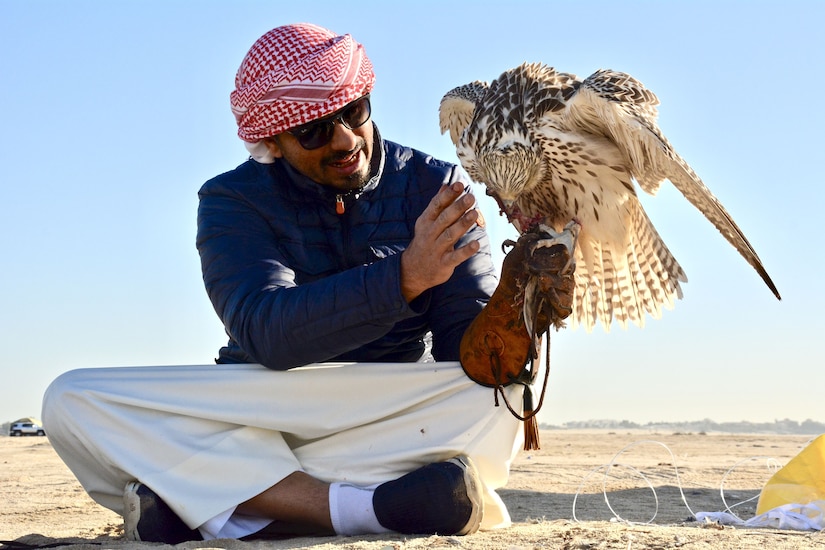 Man sitting on the ground holding a falcon.