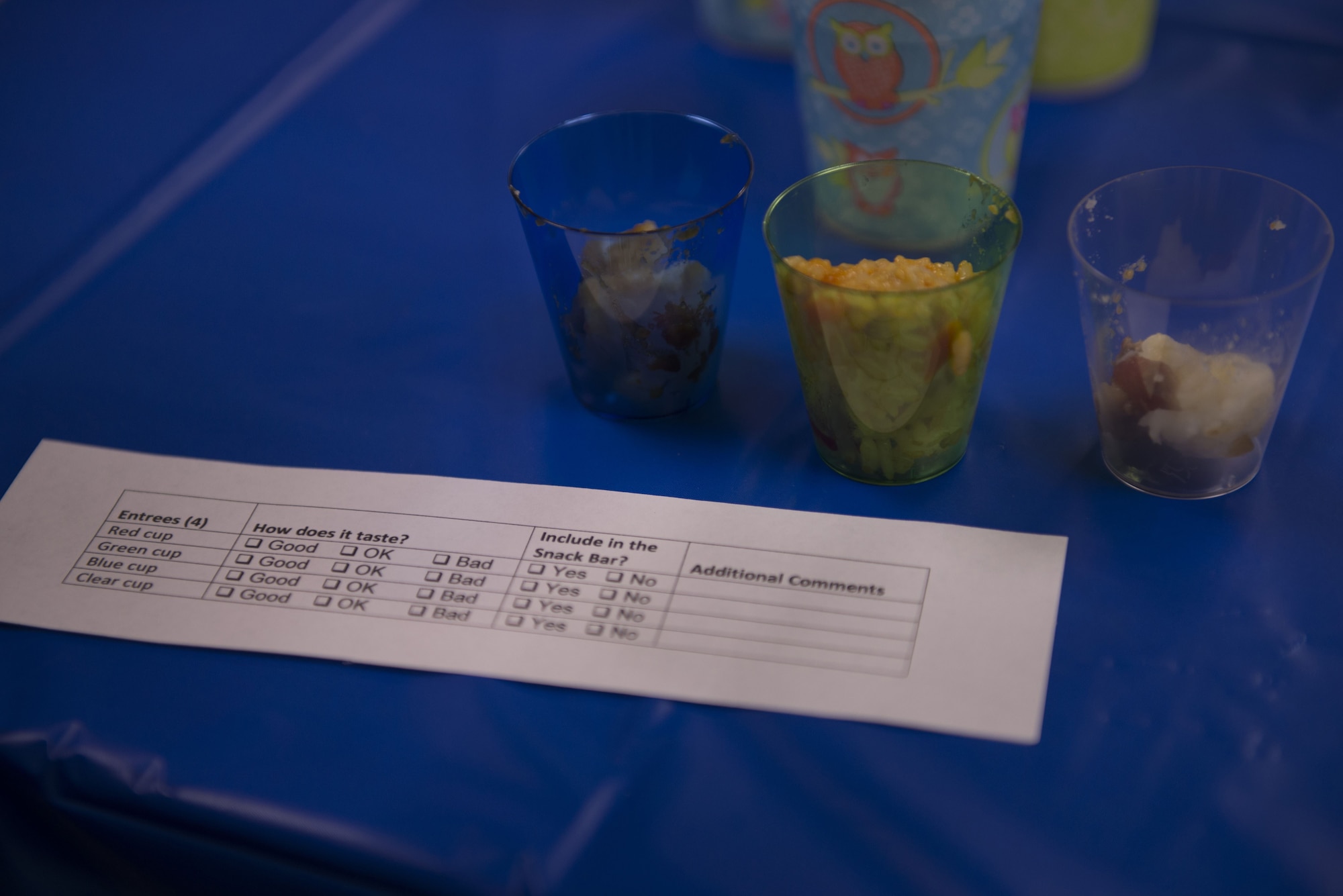 A taste test ballot sits in front of several sample entrees from a new initiative to change unit snackbars to be healtheir Jan. 18, 2018, at Luke Air Force Base. The initiative is run by Deb Robinson, 56th Medical Group dietician, also known as "Diet Deb." (U.S. Air Force photo/Senior Airman Ridge Shan)