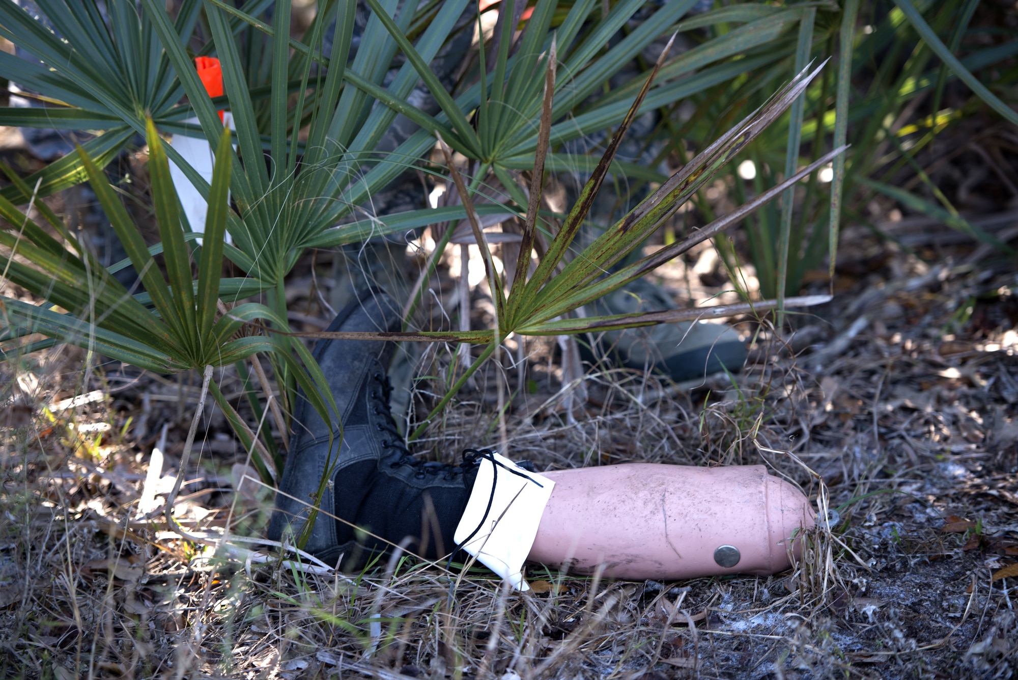A portion of a mannequins remains lays on the ground after being marked as found during a search and recovery training exercise Jan. 17, 2018, at MacDill Air Force Base, Fla.