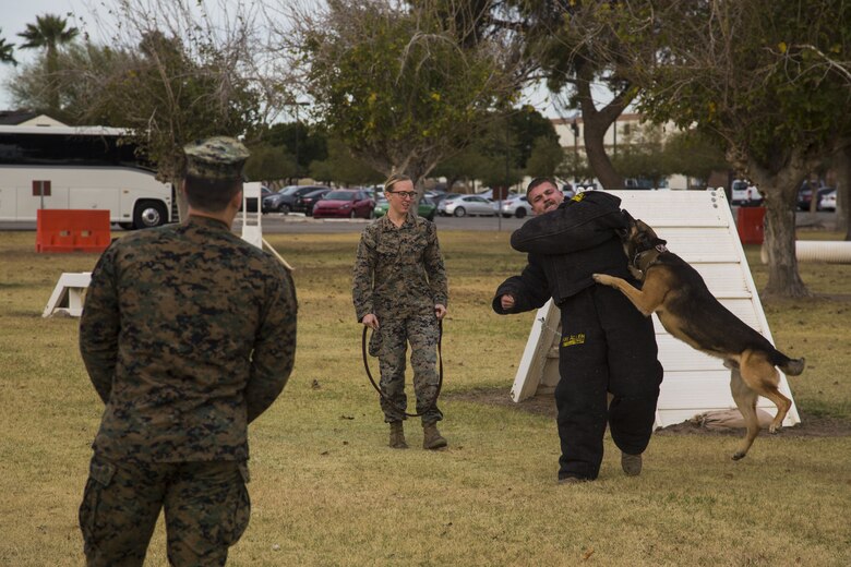 Guests participating in the first Marine Corps Air Station (MCAS) Yuma Winter Tour of the year observe the capabilities of the station, a demonstration of the K-9 unit, and an obstacle course demonstration at various locations on MCAS Yuma, Ariz., Jan. 16, 2017.  The tours have not been conducted for the past two years, but have been resumed by Col. David A. Suggs, the station commanding officer, to build a better relationship with the community. (U.S. Marine Corps photo taken by Cpl. Isaac Martinez)