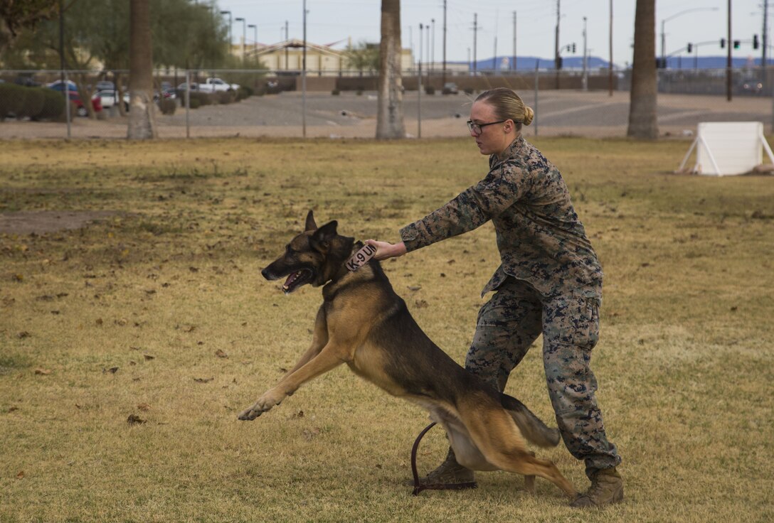 Guests participating in the first Marine Corps Air Station (MCAS) Yuma Winter Tour of the year observe the capabilities of the station, a demonstration of the K-9 unit, and an obstacle course demonstration at various locations on MCAS Yuma, Ariz., Jan. 16, 2017.  The tours have not been conducted for the past two years, but have been resumed by Col. David A. Suggs, the station commanding officer, to build a better relationship with the community. (U.S. Marine Corps photo taken by Cpl. Isaac Martinez)