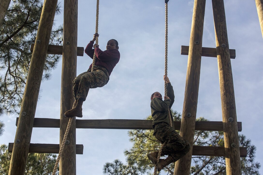Two Marines slide down ropes.
