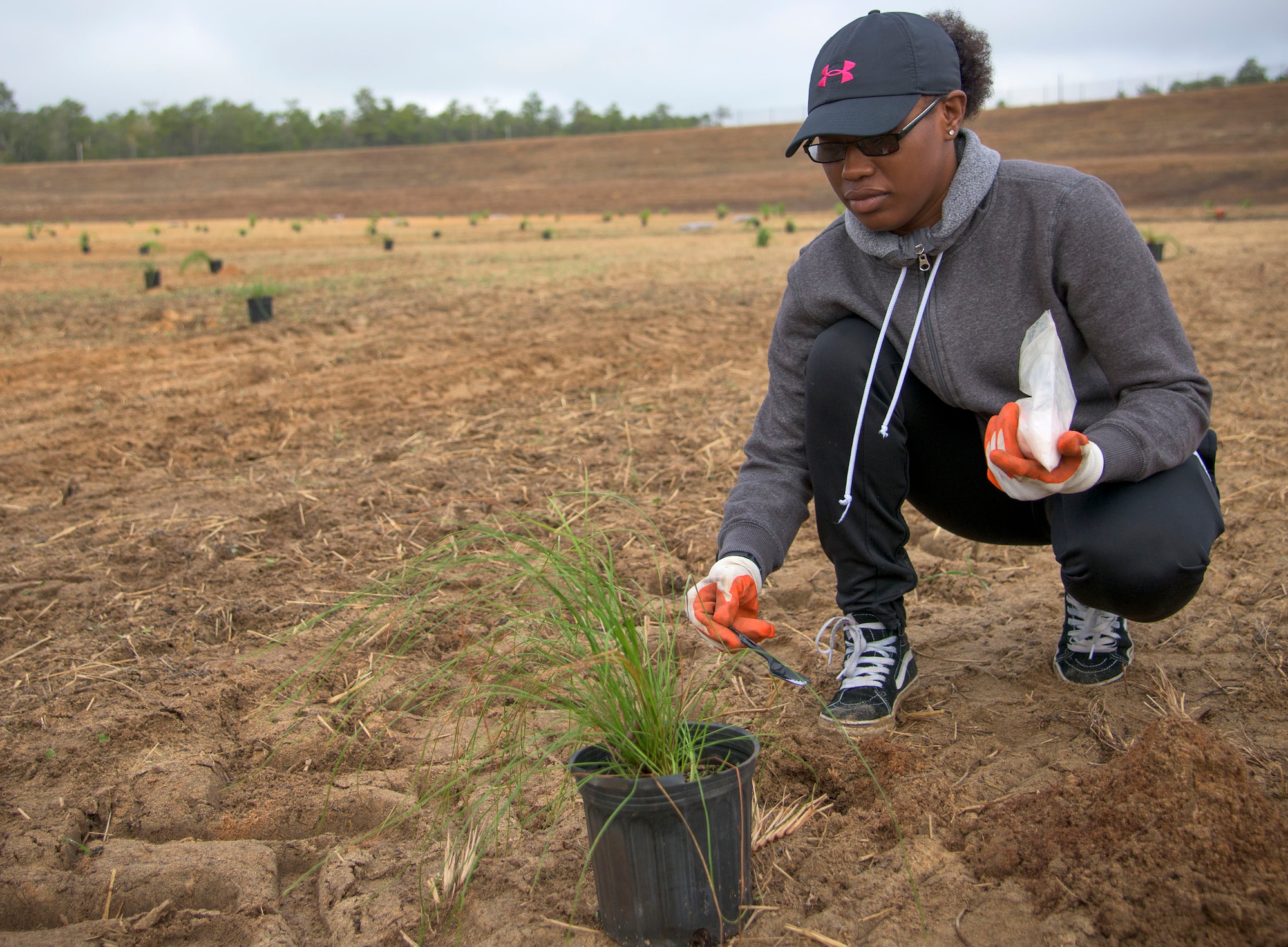 Jackson Guard and Airmen volunteers participate in a base beautification project Jan. 11 on the Eglin Reservation in Florida.  The six-day project included preparing the area and soil, sowing wild flower seeds, planting 555 Eglin seed long leaf pines and 55 saw palmetto trees to beautify the retention pond with native plant species.