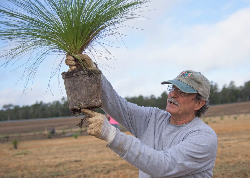Jackson Guard and Airmen volunteers participate in a base beautification project Jan. 11 on the Eglin Reservation in Florida.  The six-day project included preparing the area and soil, sowing wild flower seeds, planting 555 Eglin seed long leaf pines and 55 saw palmetto trees to beautify the retention pond with native plant species.