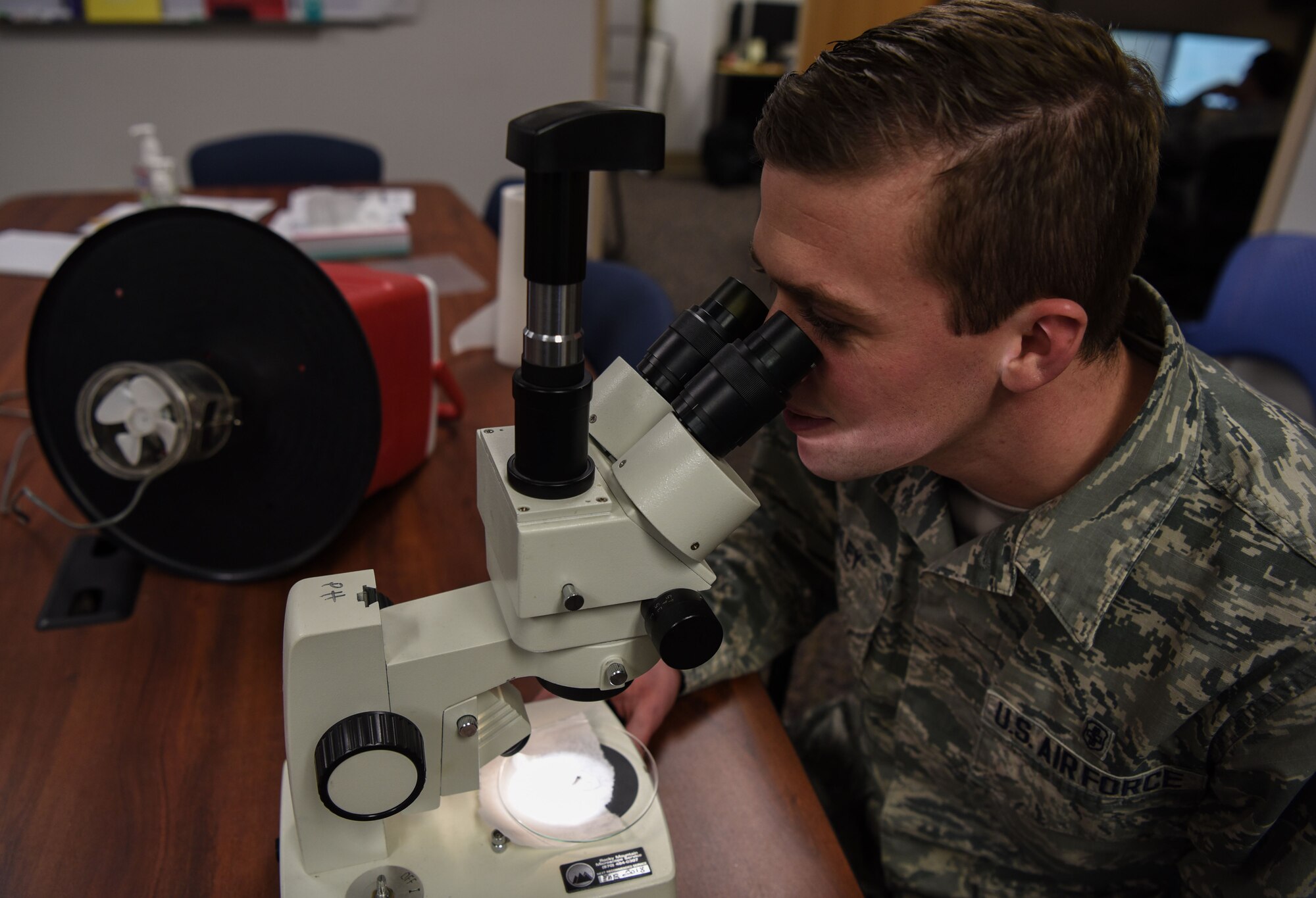 Senior Airman Brad Kepley, 90th Medical Group public health technician, examines mosquito larvae under a microscope at F.E. Warren Air Force Base, Wyo., Jan. 23, 2018. By examining the larvae, public health can work with entomology to prevent the spread of diseases like West Nile Virus. (U.S. Air Force photo by Airman 1st Class Abbigayle Wagner)