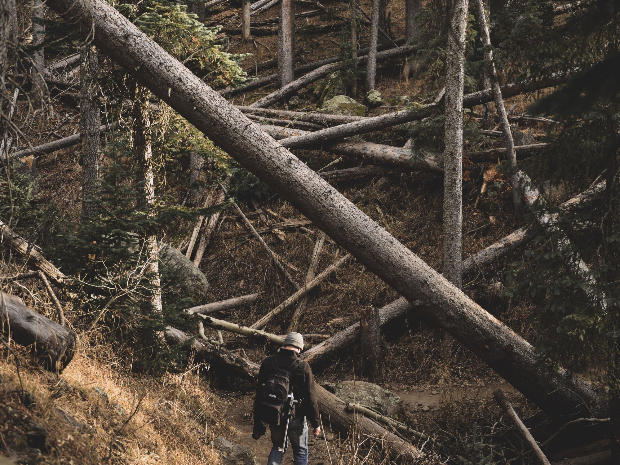 Airman 1st Class Caleb Worpel, 56th Fighter Wing photojournalist, hikes the Humphreys Summit Trail north of Flagstaff, Ariz., Dec. 16, 2017. The trail is a 9.5-mile out-and back-route with rocky terrain only recommended for experienced hikers. (U.S. Air Force photo/Airman 1st Class Alexander Cook)