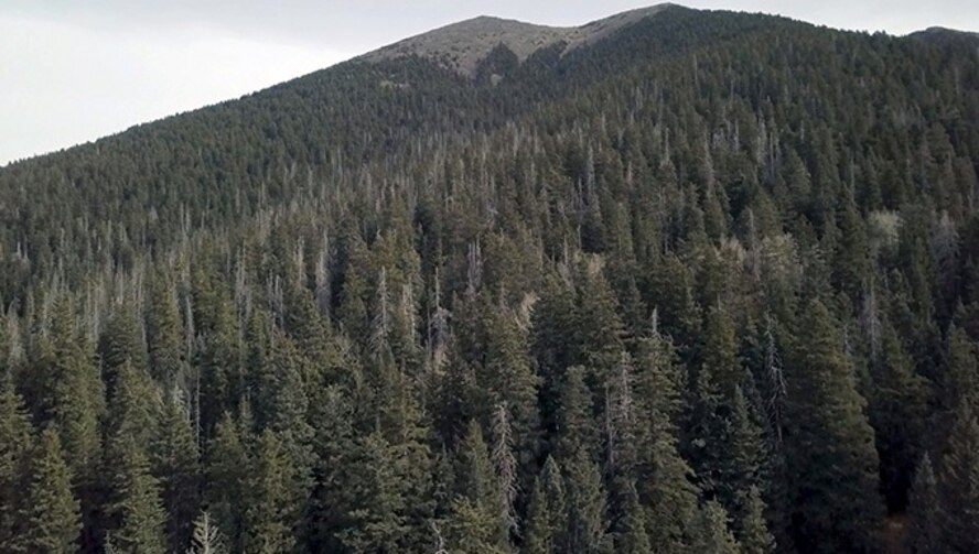 Humphreys Peak towers over Coconino National Forest located just north of Flagstaff, Ariz., Dec. 16, 2017. Humphreys Peak is Arizona’s highest landmass with an elevation of 12,633 feet. (U.S. Air Force photo/Airman 1st Class Caleb Worpel)
