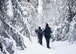 Team Ramstein members walk through the forest during a “Black Forest, White Snowshoe” trip in the Black Forest, Sasbachwalden, Germany, Jan. 21, 2018. Participants spent the day on a guided hike through the woods, including a stop for lunch at a hilltop restaurant. (U.S. Air Force photo by Senior Airman Elizabeth Baker)