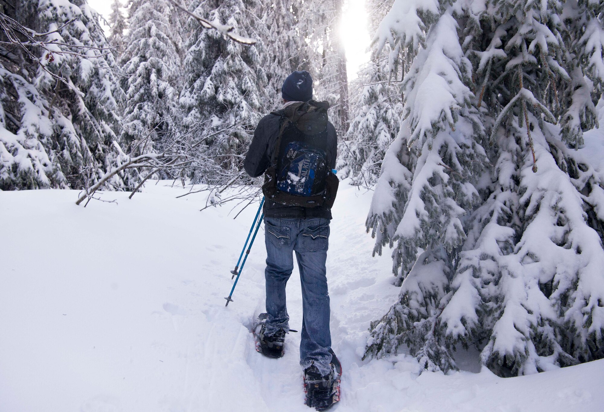 Gage Holdbrook, 86th Force Support Squadron Outdoor Recreation assistant director of the outdoor adventure program, guides trip participants through the Black Forest, Sasbachwalden, Germany, Jan. 21, 2018. The 86th FSS offers qualified instruction from experts, like Holdbrook, on their trips and learning courses. (U.S. Air Force photo by Senior Airman Elizabeth Baker)