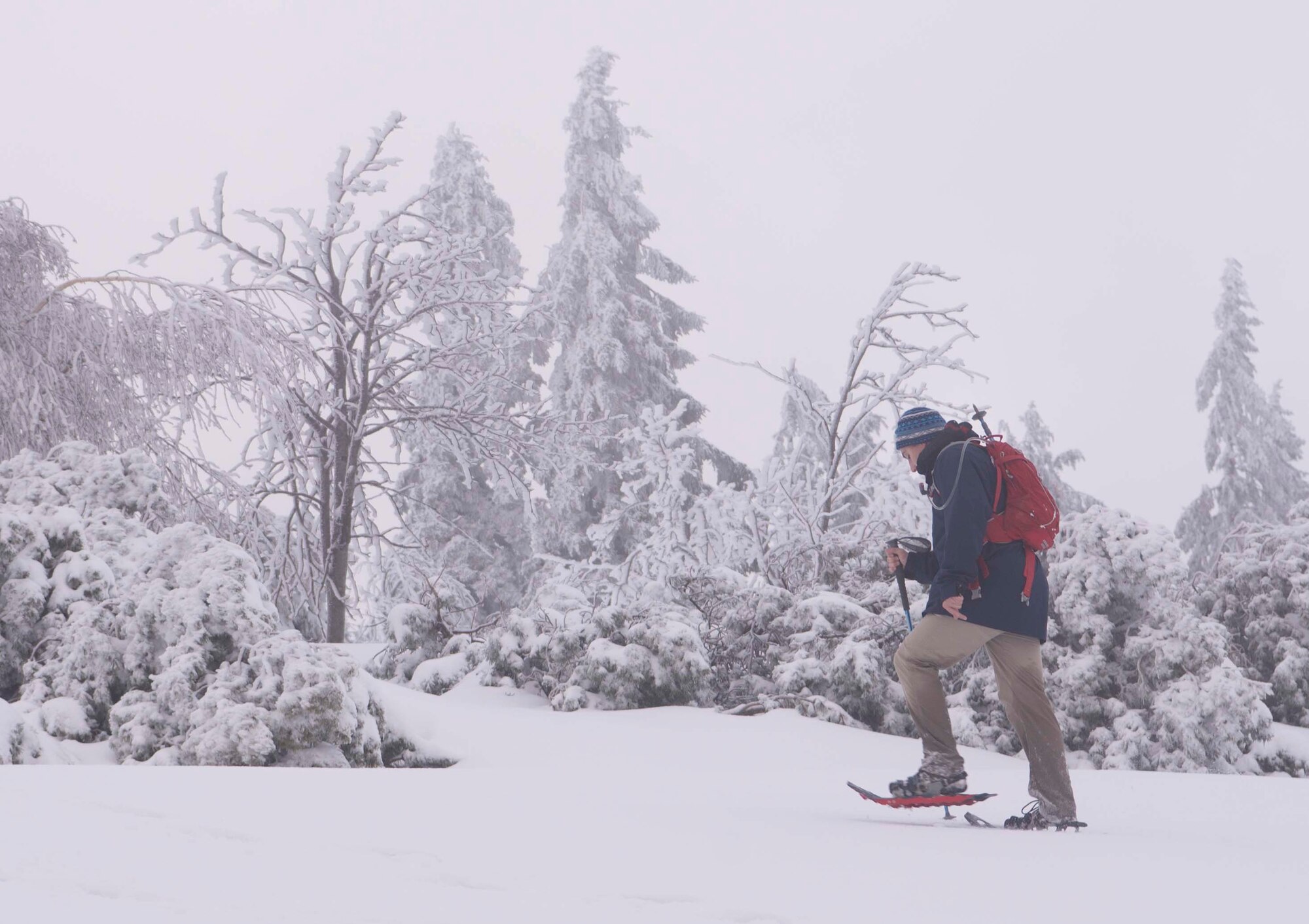 Team Ramstein members snowshoe to the top of a mountain in the Black Forest, Sasbachwalden, Germany, Jan. 21, 2018. The 86th FSS ODR plans to offer more snowshoe hikes in February, along with other opportunities such as a kayak skills clinic and rock climbing. (U.S. Air Force photo by Senior Airman Elizabeth Baker)