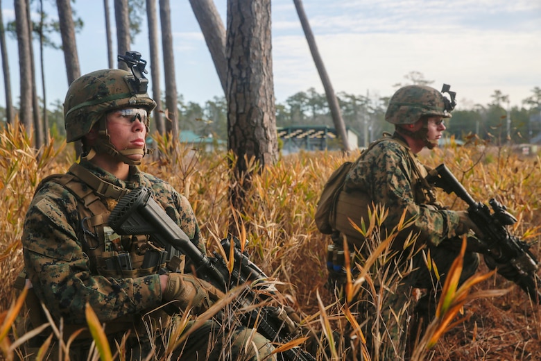 With boots on the ground and rounds down range, scout Marines with  2nd Light Armored Reconnaissance Battalion, 2nd Marine Division conducted scout training at Camp Lejeune, North Carolina, Jan. 20-21, 2018.