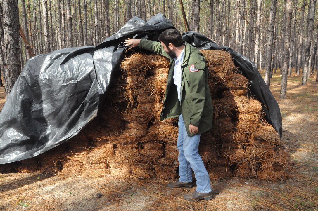 Josh O’Neal, resident forester at the U.S. Army Corps of Engineers Forestry Resources Office, Fort Stewart, Georgia, inspects bales of pine straw before they are hauled off the installation.