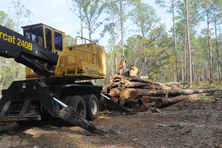 The Savannah district generates $3 million dollars annually from timber sales at Fort Stewart, Georgia.