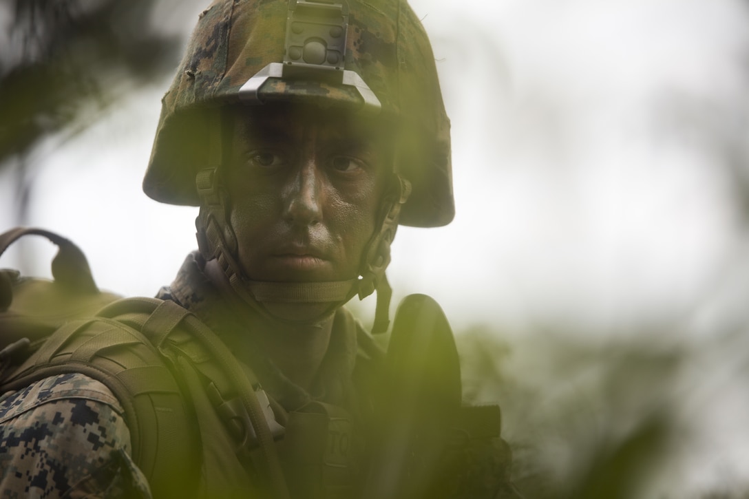 U.S. Marine Sgt. Stafford Melerine posts security in the tree line during Exercise Samurai Jan. 23, 2018, on Camp Hansen, Okinawa, Japan. Marines with Headquarters and Support Battalion, 3rd Marine Division trained to refine their skills for Division operations in an expeditionary environment. Melerine, a native of Charleston, South Carolina, is a diesel mechanic and supported the exercise as the platoon sergeant for the security platoon.