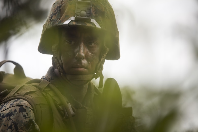 U.S. Marine Sgt. Stafford Melerine posts security in the tree line during Exercise Samurai Jan. 23, 2018, on Camp Hansen, Okinawa, Japan. Marines with Headquarters and Support Battalion, 3rd Marine Division trained to refine their skills for Division operations in an expeditionary environment. Melerine, a native of Charleston, South Carolina, is a diesel mechanic and supported the exercise as the platoon sergeant for the security platoon.