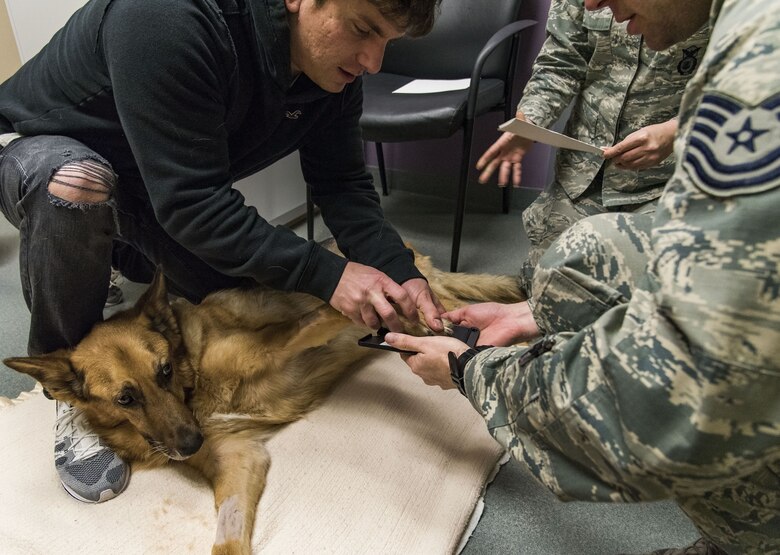 Retired Tech. Sgt. Jason Spangenberg and Tech. Sgt. Matthew Salter, 436th Security Forces Squadron military working dog kennel master, attempt to take a paw print of Military Working Dog Rico Jan. 24, 2018, at the Veterinary Treatment Facility on Dover Air Force Base, Del. MWD Rico was diagnosed with Canine Degenerative Myelopathy, which led to his retirement back in January 2016. (U.S. Air Force photo by Roland Balik)