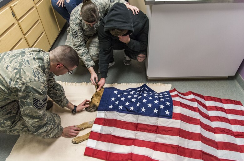 Tech. Sgt. Rachel Weis, 436th Airlift Wing inspector general inspections NCO in charge, consoles retired Tech. Sgt. Jason Spangenberg after retired Military Working Dog Rico was humanely euthanized Jan. 24, 2018, at the Veterinary Treatment Facility on Dover Air Force Base, Del. Tech. Sgt. Matthew Salter, 436th Security Forces Squadron military working dog kennel master, touches MWD Rico’s snout as all three said their final goodbye’s. (U.S. Air Force photo by Roland Balik)
