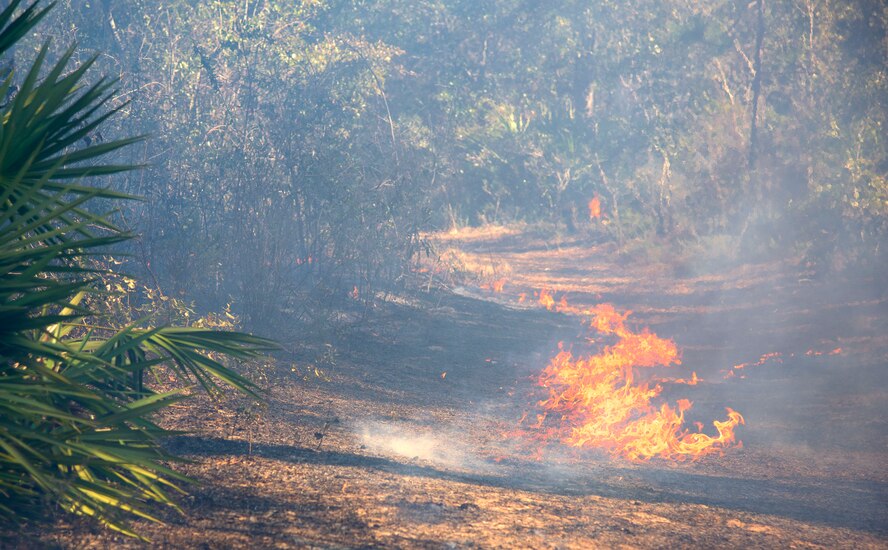 Air Force Civil Engineer Center wildland fire managers conduct a prescribed burn at White Point Recreation Area on the Eglin reservation in Florida. Prescribed fires maintain the base's ecosystem in its pristine state, reduce dangerous buildup of understory and enable maximum flexibility to conduct test and training missions without causing catastrophic wildfires.The Fire Management division here applies prescribed fire to an average of 90,000 acres annually.